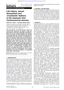Life history, sexual dimorphism and `ornamental` feathers in the