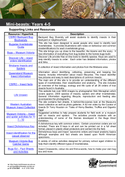 Mini-beasts: Years 4-5