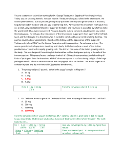 2015 Math Practicum with Answers