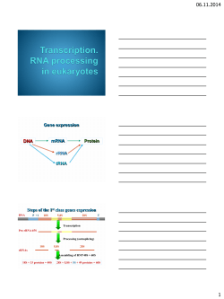 Gene expression DNA rRNA tRNA mRNA Protein Steps of the 1st