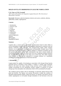 Roles Of Plant Hormones In Legume Nodulation