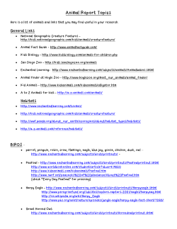 Animal Report Topics