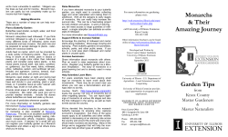 Monarchs - University of Illinois Extension