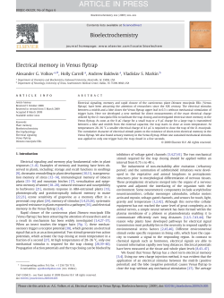 Electrical memory in Venus flytrap