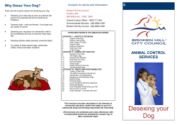 Desexing your Dog - Broken Hill City Council