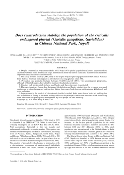 Does reintroduction stabilize the population of the critically