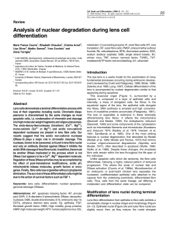 Analysis of nuclear degradation during lens cell differentiation