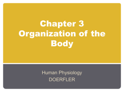 Chapter 3 Organization of the Body