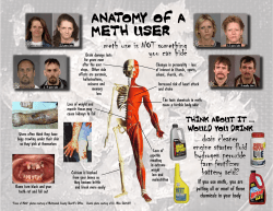 anatomy of a meth user - Meth Action Coalition