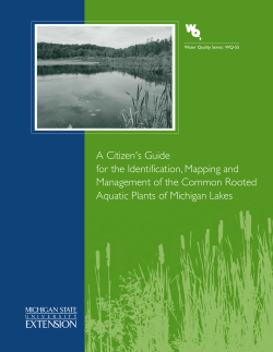 A Citizen`s Guide for the Identification, Mapping and Management of