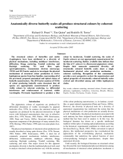 Anatomically diverse butterfly scales all produce