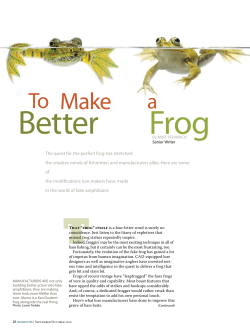 the quest for the perfect frog has stretched the creative