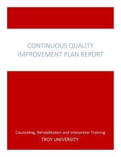 Continuous Quality Improvement Plan report