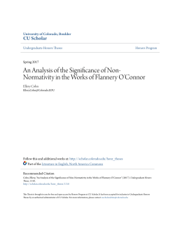An Analysis of the Significance of Non-Normativity in
