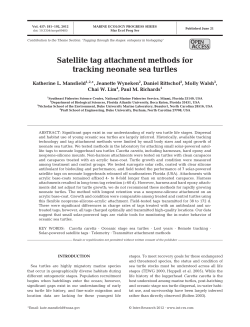 Satellite tag attachment methods for tracking neonate sea turtles