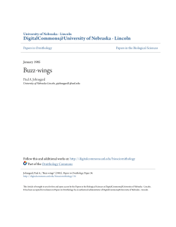 Buzz-wings - DigitalCommons@University of Nebraska