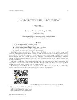 Photosynthesis: Overview