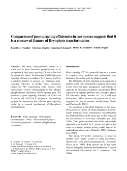 Comparison of gene targeting efficiencies in two