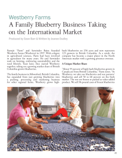 A Family Blueberry Business Taking on the International Market