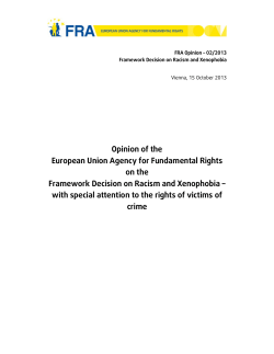 FRA Opinion on the Framework Decision on Racism and Xenophobia
