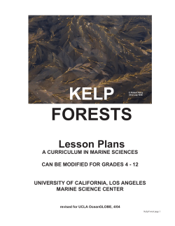 kelp forests