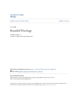 Beautiful Wreckage - Works