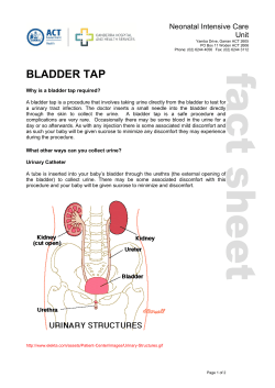 bladder tap - ACT Health