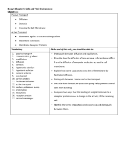 CHP 4 Vocabulary