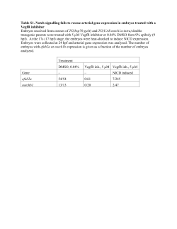 Table S1. Notch signalling fails to rescue arterial gene expression in