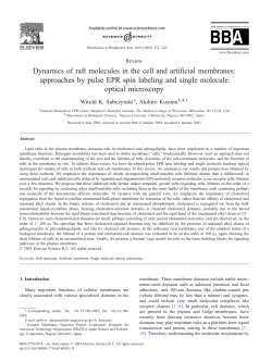 Dynamics of raft molecules in the cell and artificial membranes