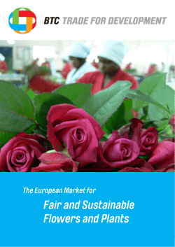The European Market for Fair and Sustainable Flowers