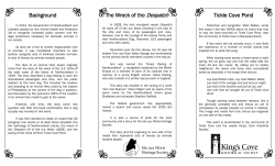 The Wreck of the Despatch Background Tickle Cove Pond