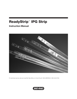 ReadyStrip&trade; IPG Strip - Bio-Rad