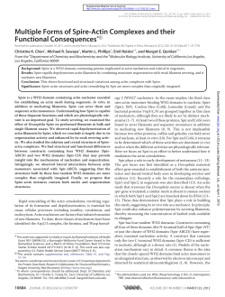 Multiple Forms of Spire-Actin Complexes and