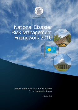 National Disaster Risk Management Framework 2010