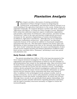 Plantation Analysis T