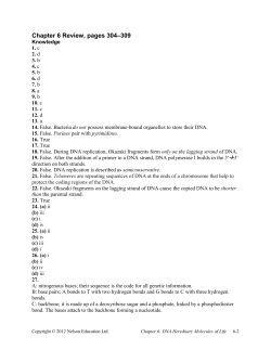 Chapter 6 Review Key