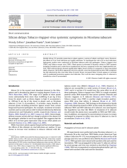 Tabacum Silicon Ringspot