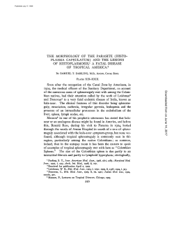 the morphology of the parasite (histo- plasma capsulatum)