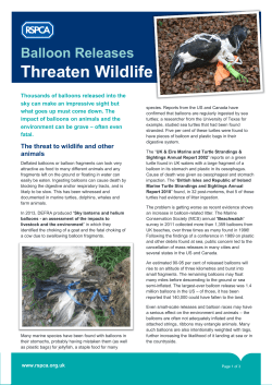 Balloon Releases Threaten Wildlife