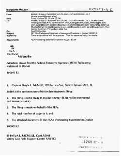 FEA - Florida Public Service Commission