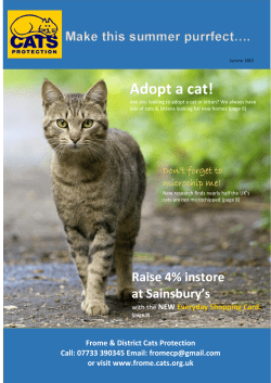 Adopt a cat! - Cats Protection