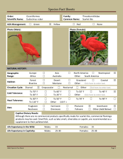 Species Fact Sheets - Avian Scientific Advisory Group