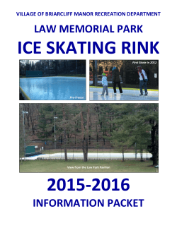 ice skating rink 2015-2016