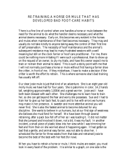 re-training a horse or mule that has developed bad foot