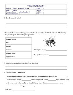 Class II Science Insects worksheet no 14