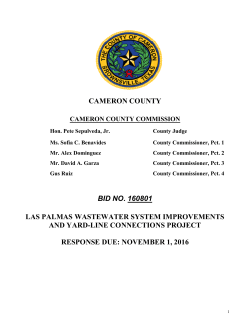 Bid Document - Brownsville Public Utilities Board