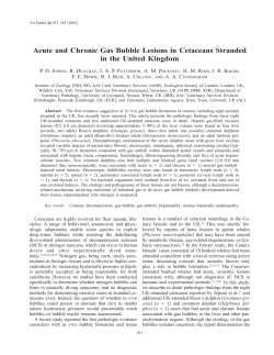 Acute and Chronic Gas Bubble Lesions in