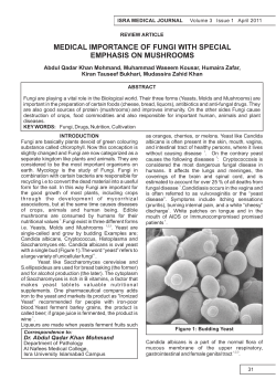 medical importance of fungi with special emphasis on mushrooms