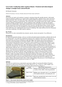 Greywacke weathering under tropical climate: Chemical and